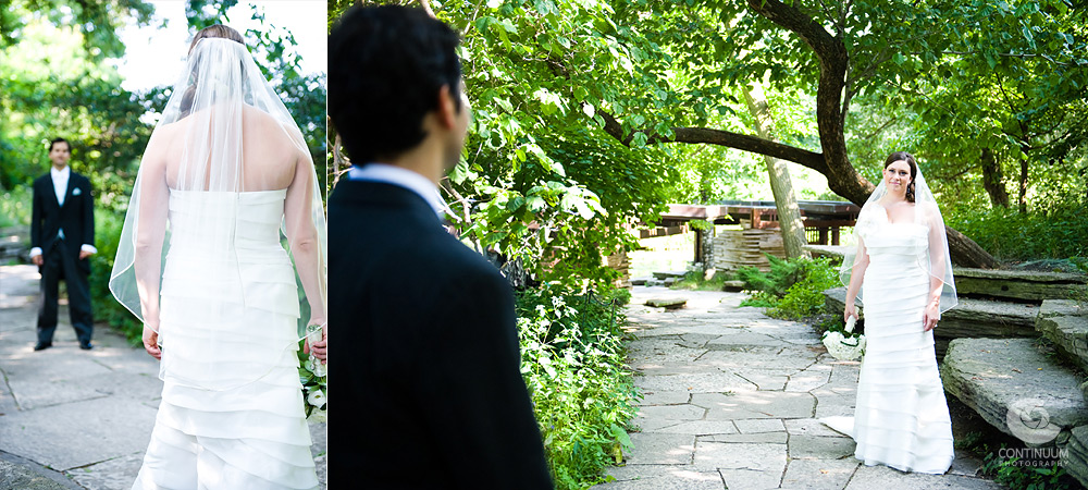 wedding portraits at alfred caldwell lily pool