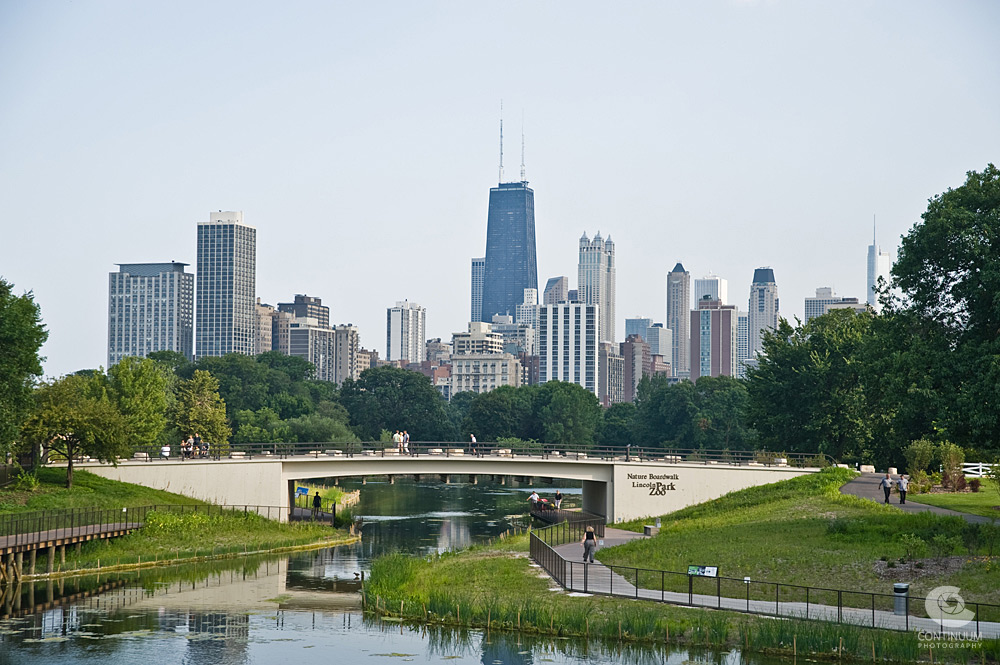 lincoln park zoo