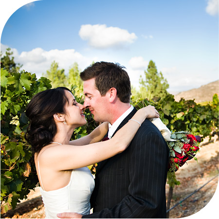 Orange county wedding bride and groom kiss amongst vine at their wine country wedding reception.