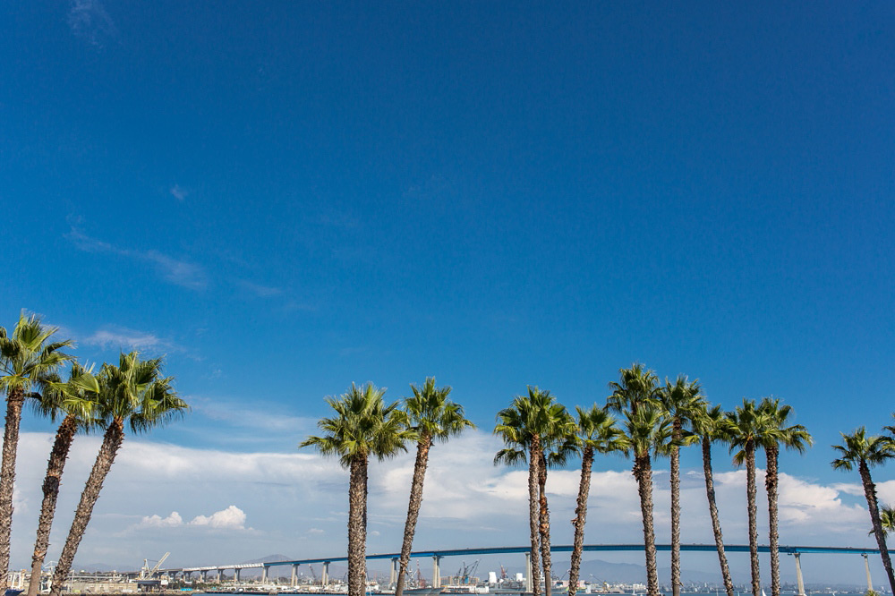 Candelas Coronado Wedding 01