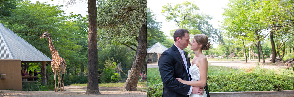 brookfield zoo wedding chicago 14