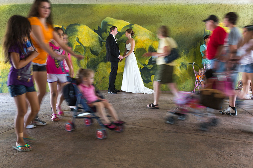 brookfield zoo wedding chicago 17
