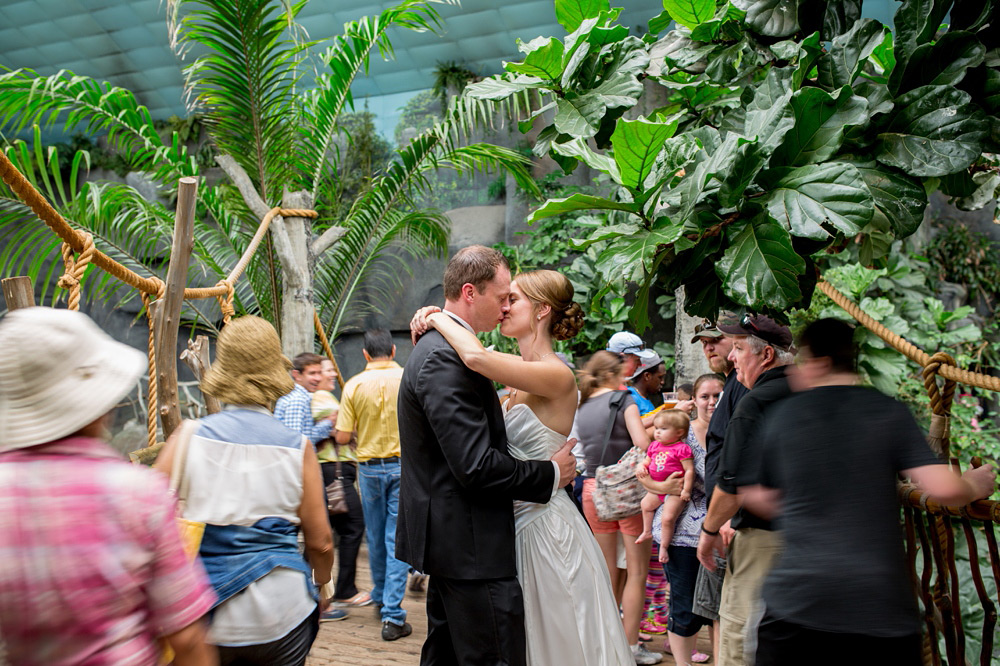 brookfield zoo wedding chicago 18