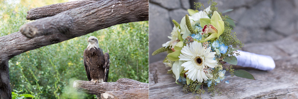 brookfield zoo wedding chicago 40