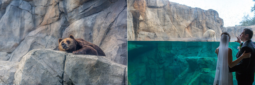 brookfield zoo wedding chicago 42