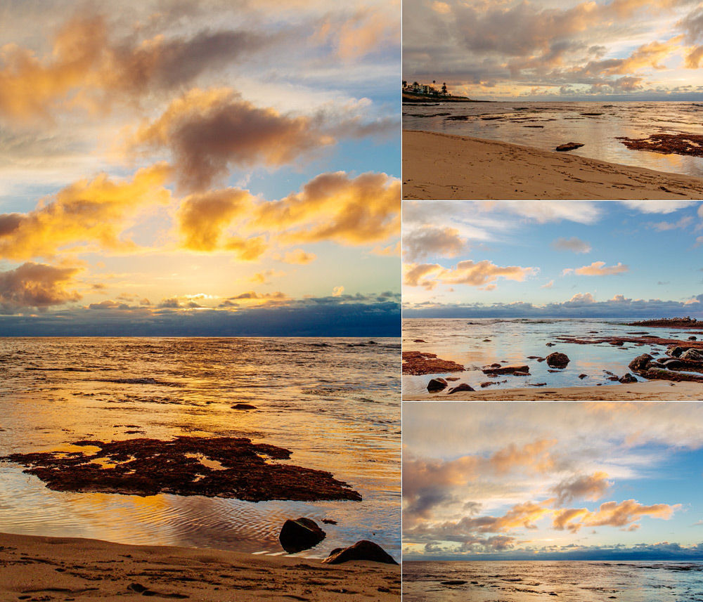 la-jolla-engagement-photos-15