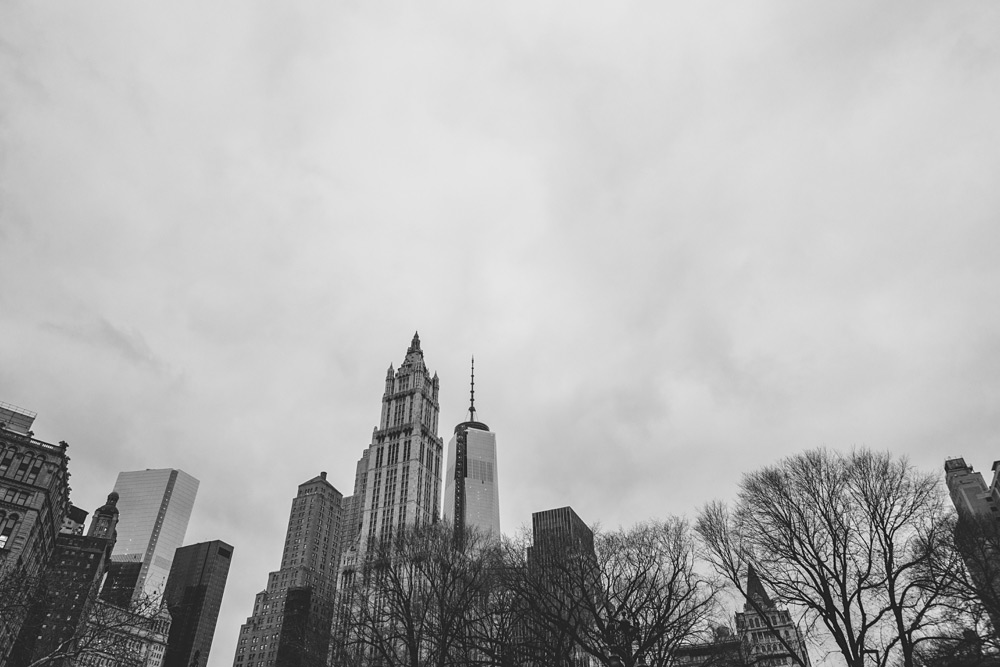 New York City Engagement Session 26