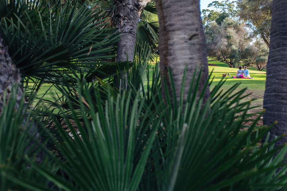 Presidio Park Engagement Session 05