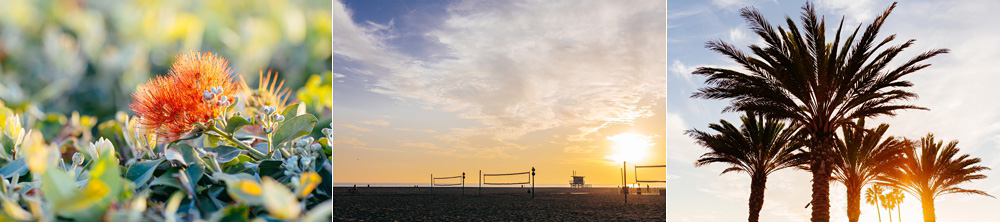 Annenberg Community Beach House Santa Monica Wedding 49