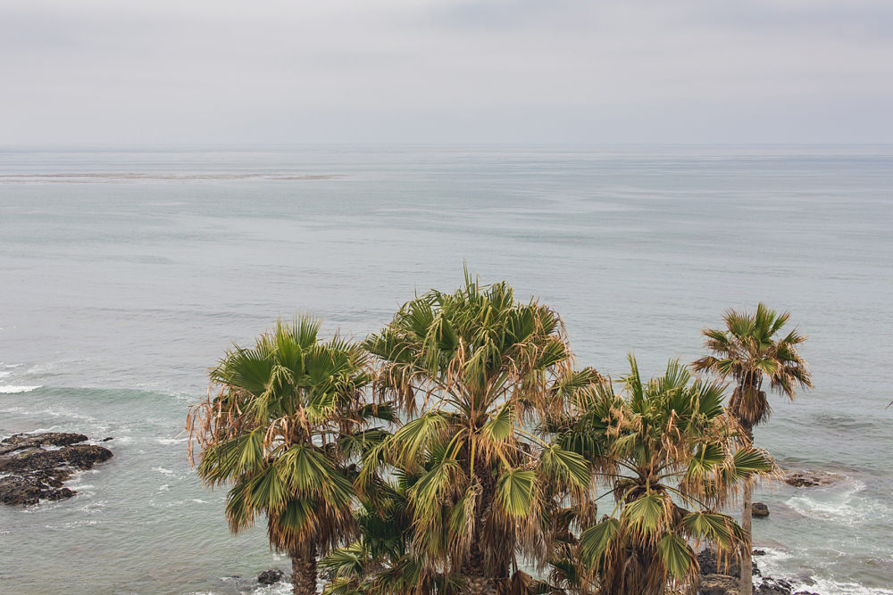 Las Rocas Resort Rosarito wedding 01