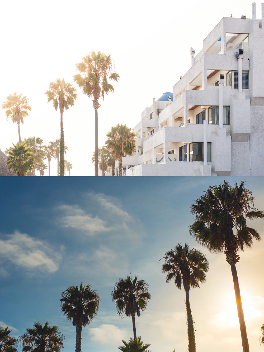 Las Rocas Resort Rosarito wedding 38