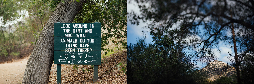 www.continuumphotography.com
