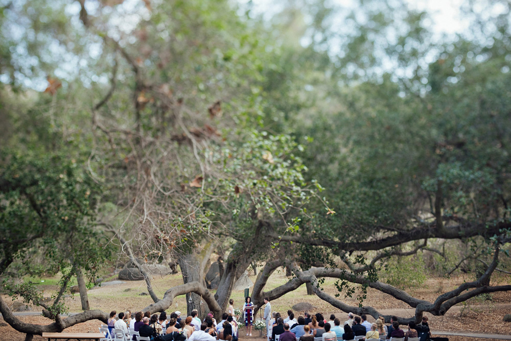 www.continuumphotography.com