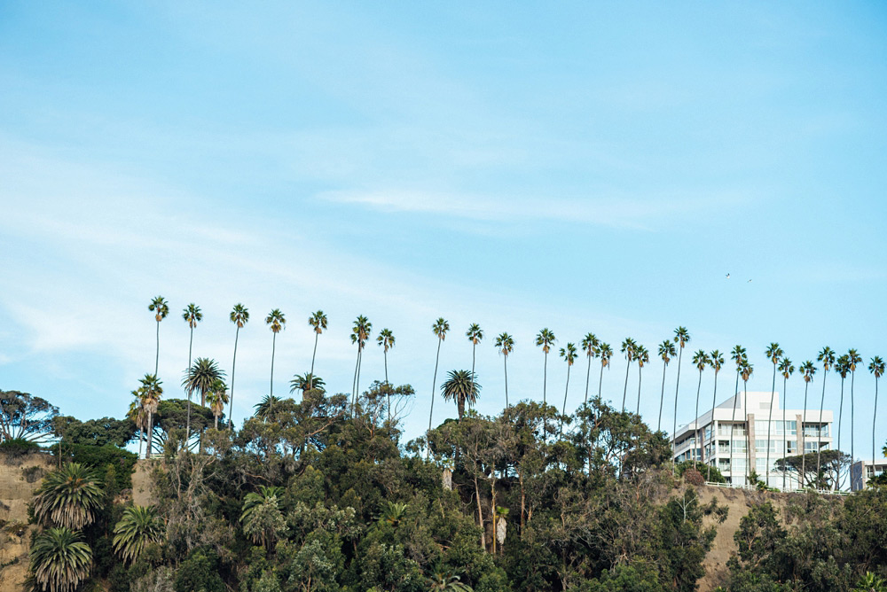 intimate santa monica beach wedding 26